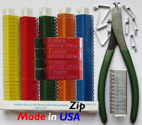 Fasce zip wing - wing, 500